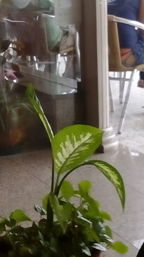 Padaria/Pastelaria Cruz D'Areia - Gastronomia e hotelaria