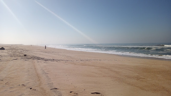 Maribar - Gastronomia e hotelaria