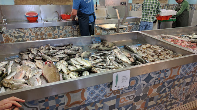 N124, 8300-157 Silves