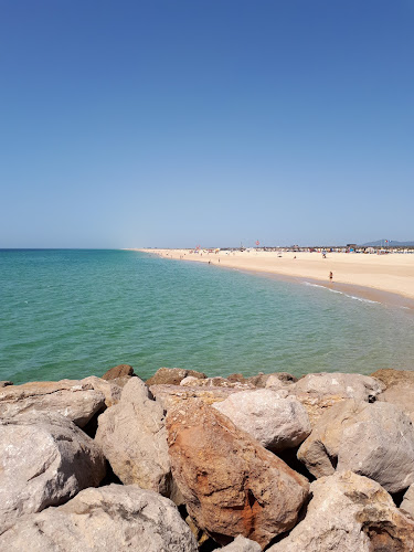 Sunshine Bar - Gastronomia e hotelaria