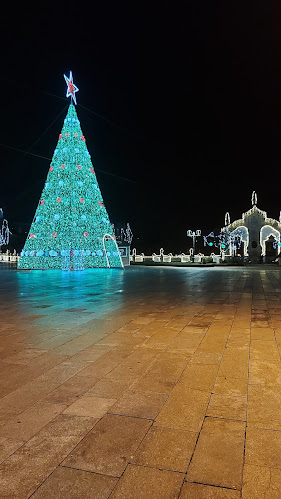 Comentarii opinii despre Casa do Café - Snack-Bar