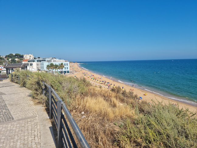 The Lemon Tree Snack Bar - Albufeira