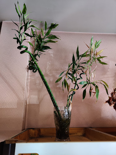 R. Maj. Rato 42, 6005-028 Alcains