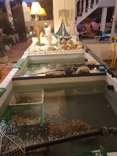 EM520-3 196A, Portugal