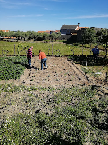 Associação Social Recreativa e Cultural de Vale da Torre - Castelo Branco