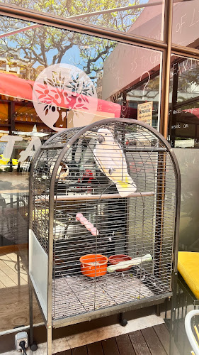 Taxiko - Gastronomia e hotelaria