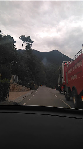 Comentarii opinii despre Restaurante Morgado Taberna 2017