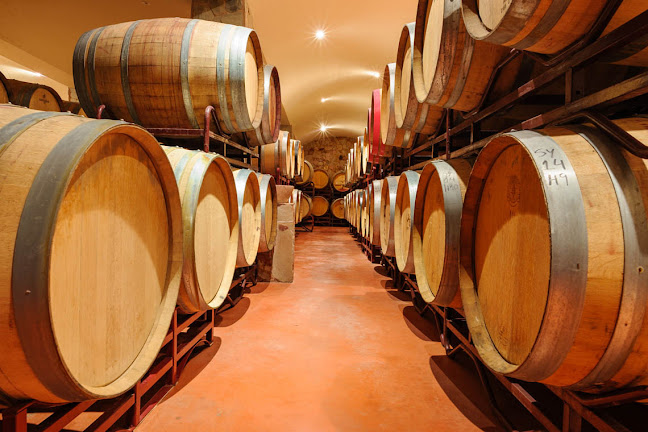 Quinta Dos Vales - Wine Estate - Gastronomia e hotelaria