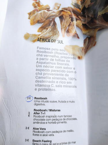 Casa de Chá Arte Nova