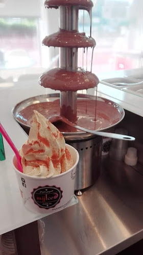 Myiced Santarém - Santarém