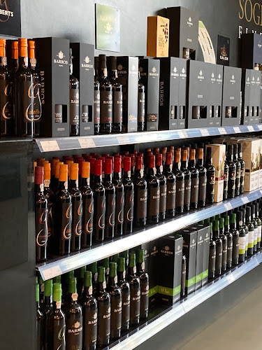 Comentarii opinii despre Sogevinus