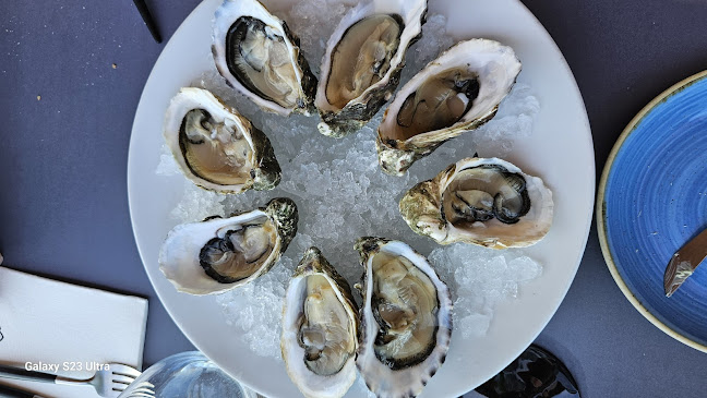 Opinii despre O Camilo în Lagos - Gastronomia e hotelaria