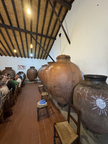 Comentarii opinii despre Adega Piteira