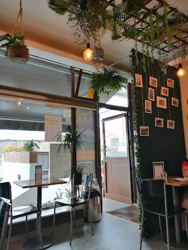 Padoca Vegan - Fábrica - Gastronomia e hotelaria