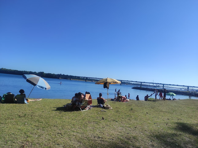 Opinii despre Restaurante-Pizzaria Beira Rio în Viana do Castelo - Gastronomia e hotelaria