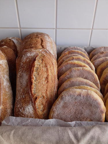 BOROA - Entroncamento