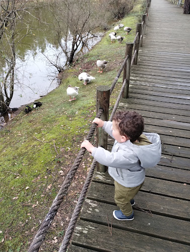 São Lourenço by Trincanela