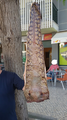 R. Augusto de Mira Leal, 8500-641 Portimão