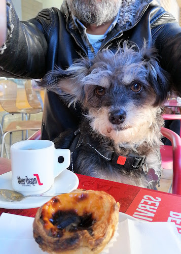 Opinii despre Varandas da Fonte în Ermesinde - Gastronomia e hotelaria