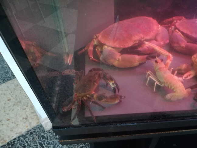 Mercearia do Fanqueiro by Vítor Palmilha - Gastronomia e hotelaria