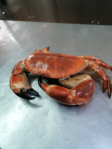 Av. Luísa Todi 14, 2910-082 Setúbal