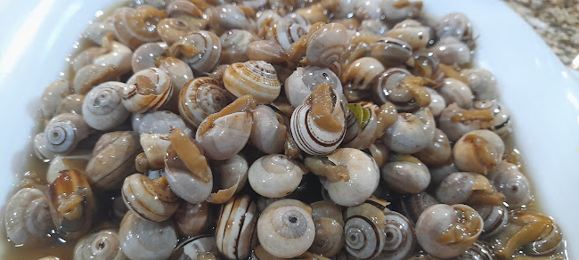 Comentarii opinii despre Petiscos & Mordiscos