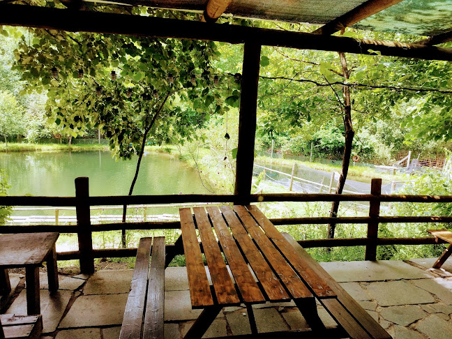 Opinii despre Piovacora Pesca Lazer e Restaurante în Várzea Cova - Gastronomia e hotelaria