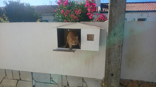 R. da Associação de Teatro de Amadores 17 18, 7800-050 Beja