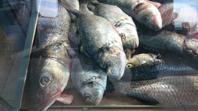 Comentarii opinii despre O Camilo