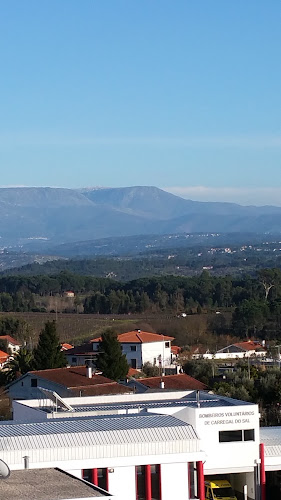 R. Francisco Sá Carneiro 10, 3430-029 Carregal do Sal