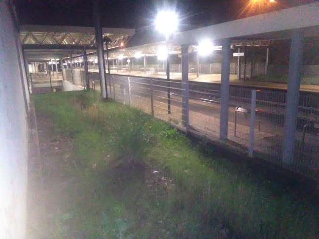 estação cp oiã - Gastronomia e hotelaria