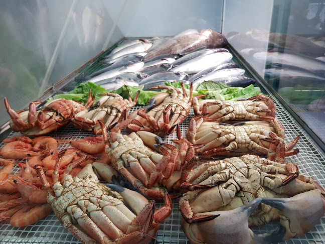 Comentarii opinii despre O Pescador