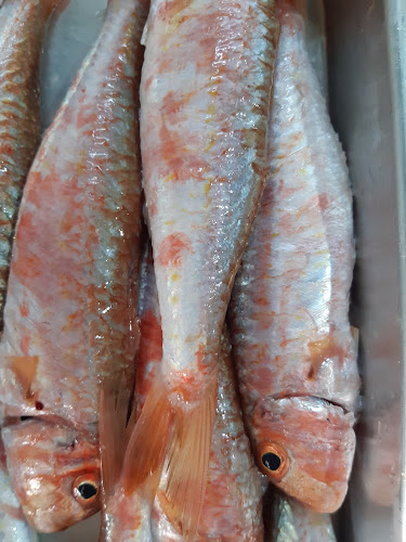 Av. 5 de Outubro 100, 8700-302 Olhão