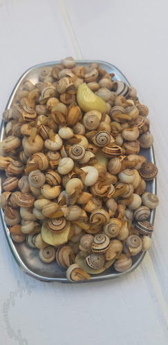 Comentarii opinii despre Manel dos Caracóis