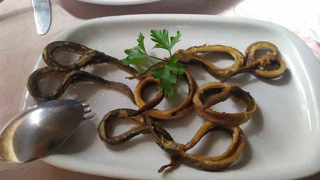 Comentarii opinii despre Casa das Enguias