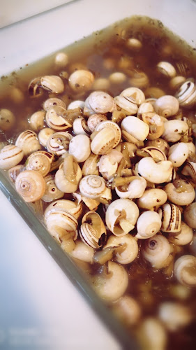 Opinii despre Café Tileiras în Vilar de Besteiros - Gastronomia e hotelaria