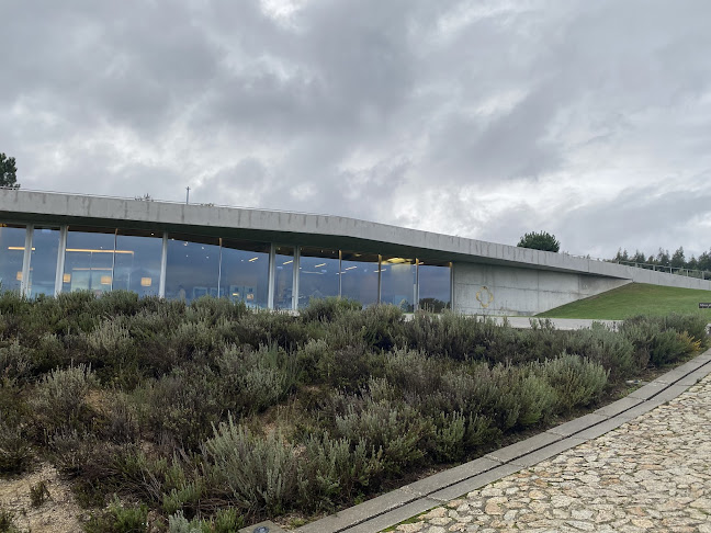 Mesa de Lemos, 3500-541 Silgueiros