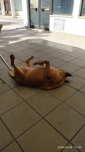 Snack-Bar Os Namorados - Gastronomia e hotelaria