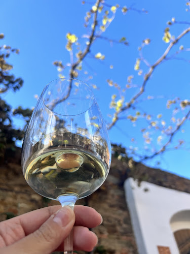 Opinii despre Adega Piteira în Amareleja - Gastronomia e hotelaria