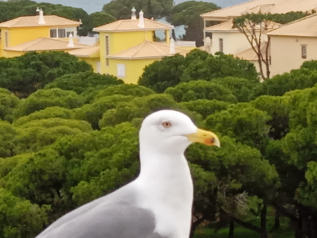 Comentarii opinii despre Claudia Fashion