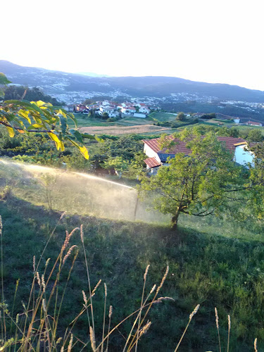 Opinii despre Café Central Cavião în Vale de Cambra - Gastronomia e hotelaria