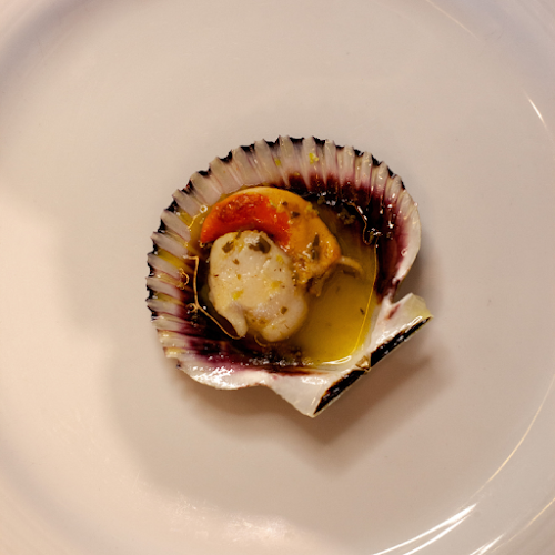 Comentarii opinii despre Percebes - Tasco do Mar