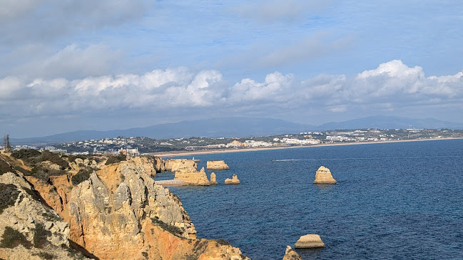 Opinii despre O Camilo în Lagos - Gastronomia e hotelaria