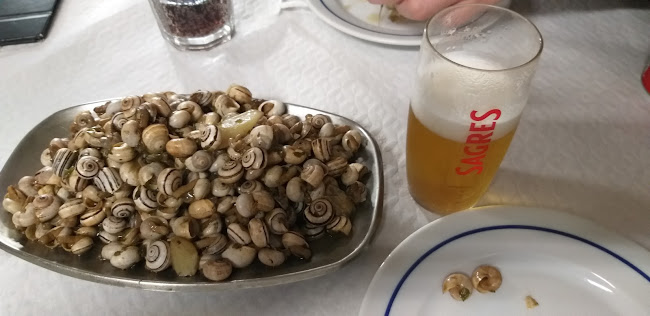 Comentarii opinii despre O Faustino