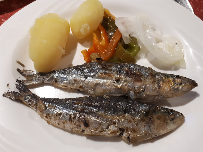 Mauritânia Real - Gastronomia e hotelaria