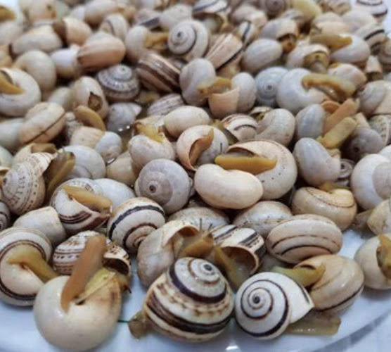 Rua Principal 138, Bairro da Quintinha, 7580-305 Alcácer do Sal