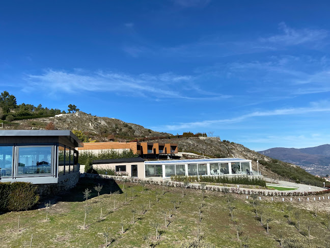 https://www.tripadvisor.pt/Restaurant_Review-g189175-d10790304-Reviews-O_Paraiso-Lamego_Viseu_District_Northern_Portugal.html