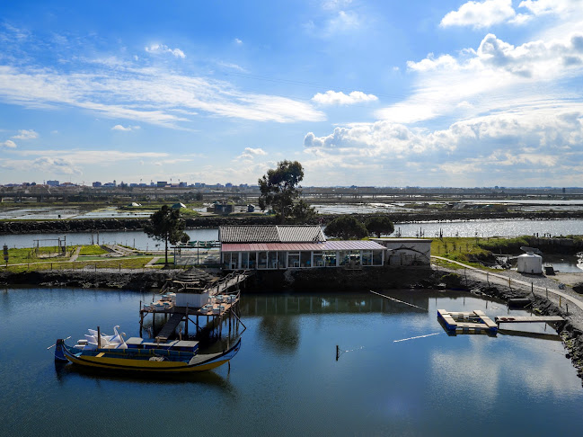 Ostraveiro - Aveiro