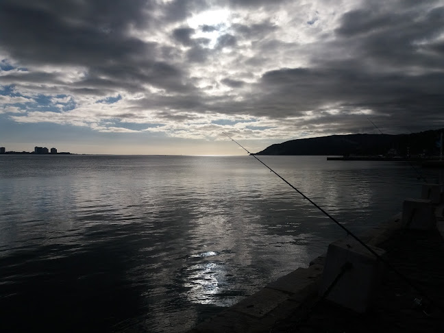 Comentarii opinii despre Bombordo