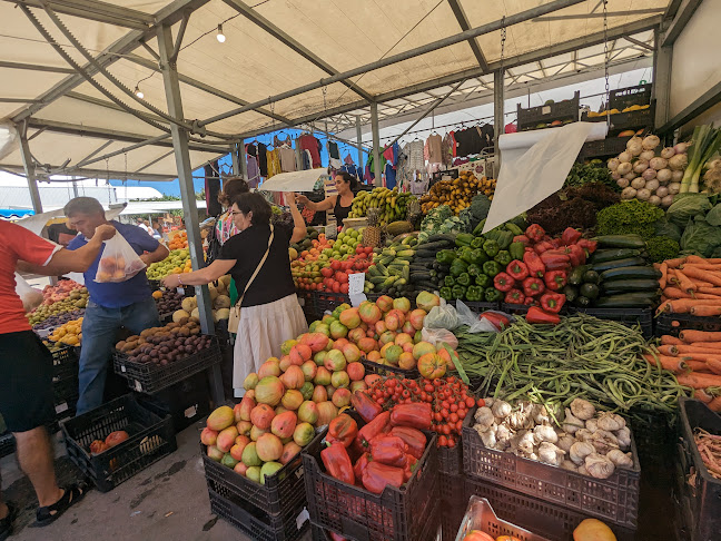 Feira da Estela - Estela